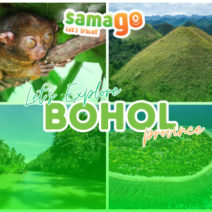 🌴 Bohol Tour Package – Nature, Heritage & Island Bliss