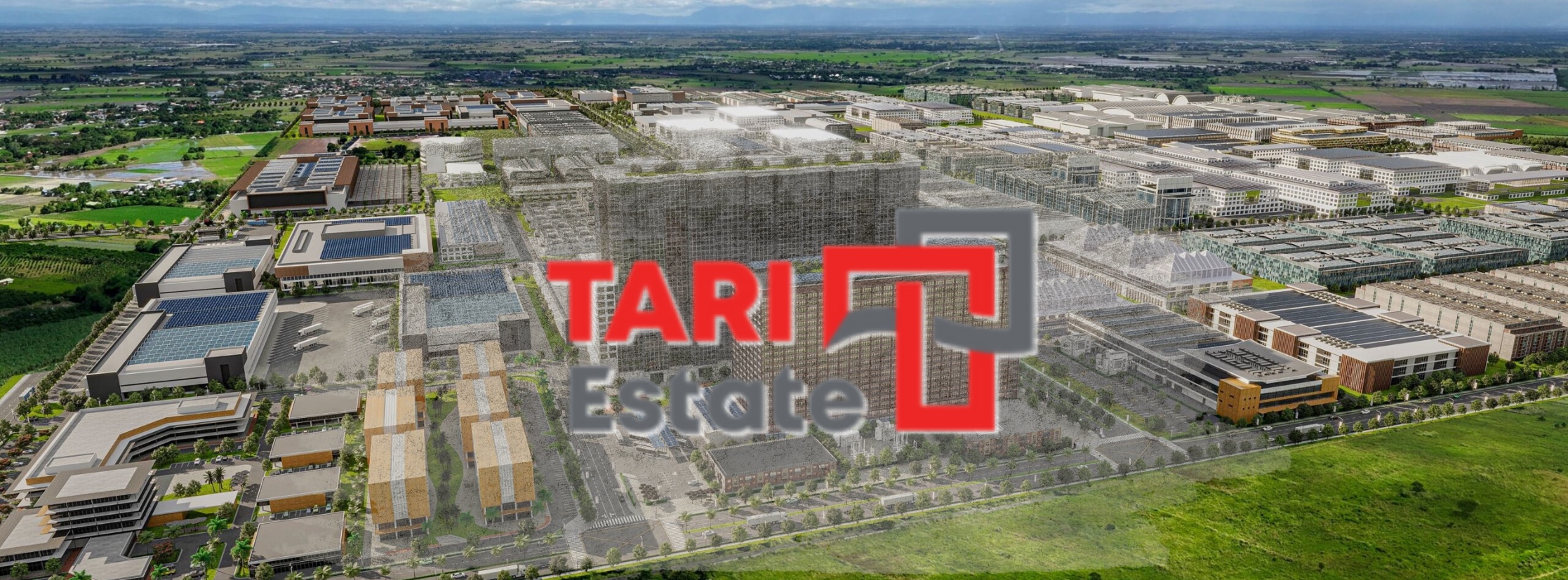 Tari